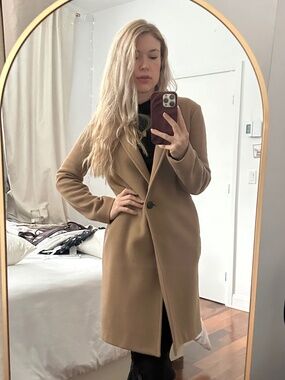 Aritzia Fall Wool Coat